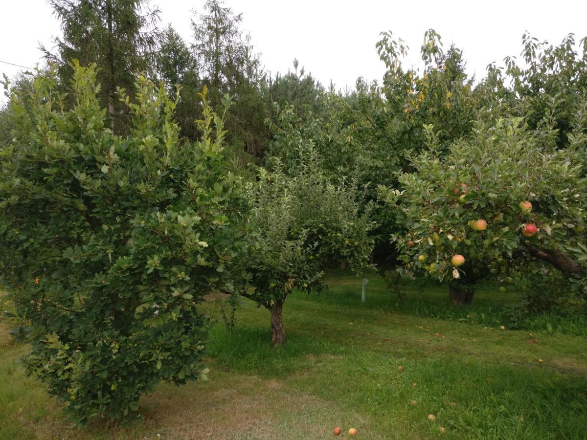 Agroturystyka Pod Czarna Sosna Bialy Lug Eksteriør bilde